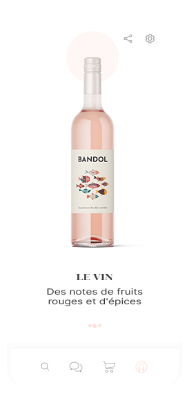 Reseaux sociaux-Bandol