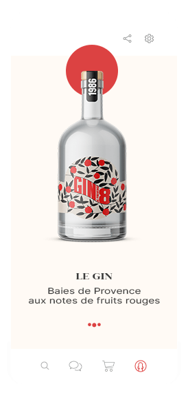 Réseaux sociaux bouteille de Gin